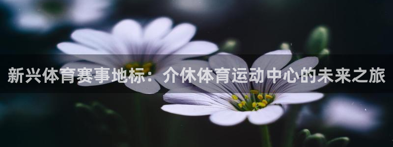 意昂3包怎么样