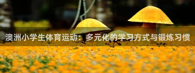 意昂3登录：澳洲小学生体育运动：多元化的学习方式与锻炼习惯
