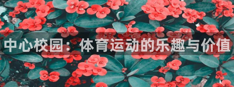 意昂3体育：中心校园：体育运动的乐趣与价值