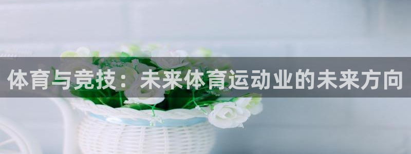 意昂33平台登录注册：体育与竞技：未来体育运动业的未来方向