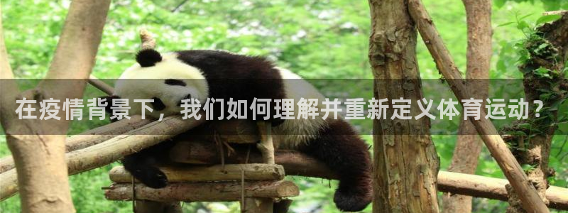 意昂3能源：在疫情背景下，我们如何理解并重新定义体育运动？