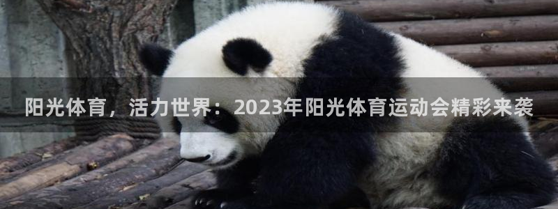 意昂3平台主管：阳光体育，活力世界：2023年阳光体育运动会精彩来袭