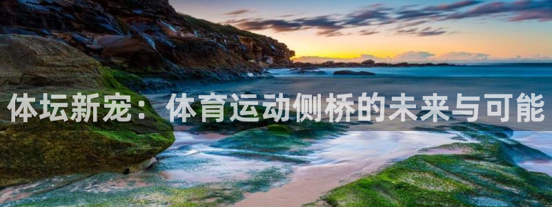意昂3体育游戏：体坛新宠：体育运动侧桥的未来与可能