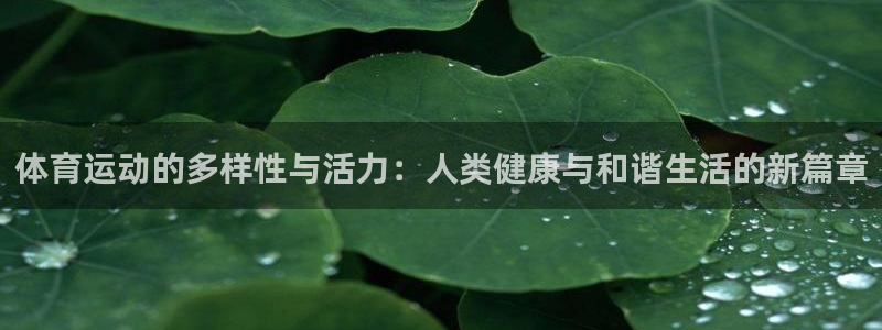 意昂33登录：体育运动的多样性与活力：人类健康与和谐生活的新篇章