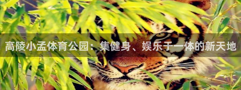 意昂3体育官网登录：高陵小孟体育公园：集健身、娱乐于一体的新天地