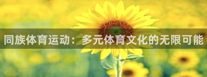 意昂3体育2官网入口：同族体育运动：多元体育文化的无限可能