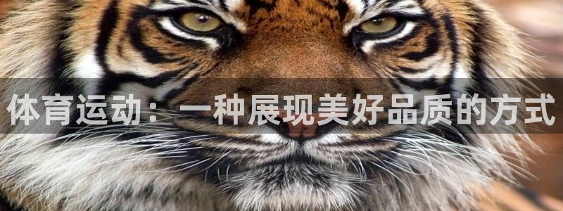 意昂33官网：体育运动：一种展现美好品质的方式