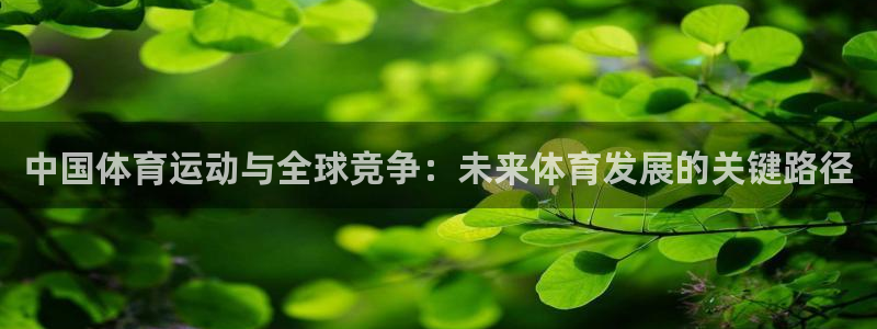 意昂3平台开户链接：中国体育运动与全球竞争：未来体育发展的关键路径