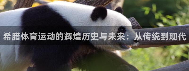 意昂3体育凯捷平台主管：希腊体育运动的辉煌历史与未来：从传统到现代