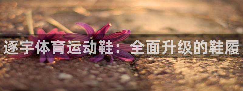 意昂3主管：逐宇体育运动鞋：全面升级的鞋履