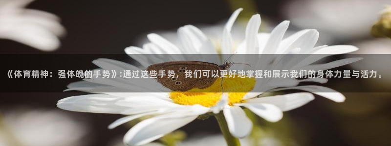 意昂33平台注册：《体育精神：强体魄的手势》:通过这些手势，我们可以更好地掌握和