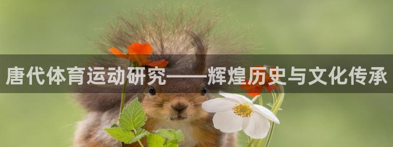 意昂3凯捷开号链接：唐代体育运动研究——辉煌历史与文化传承