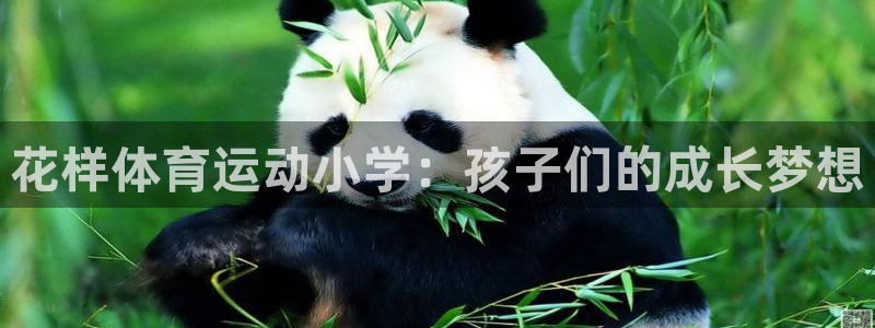 意昂3体育注册代理：花样体育运动小学：孩子们的成长梦想