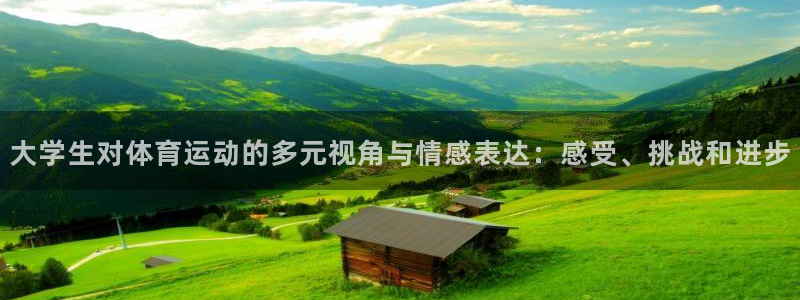 意昂3代理：大学生对体育运动的多元视角与情感表达：感受、挑战和进步