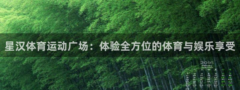 意昂3体育凯捷平台主管：星汉体育运动广场：体验全方位的体育与娱乐享受