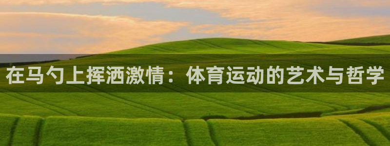 福建意昂3机电股份公司：在马勺上挥洒激情：体育运动的艺术与哲学