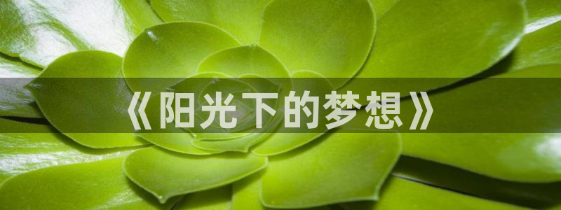 意昂3官网：《阳光下的梦想》