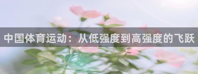 意昂3是啥平台：中国体育运动：从低强度到高强度的飞跃